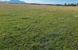 Teren intravilan - strada Carierei - 700mp - comision 0%