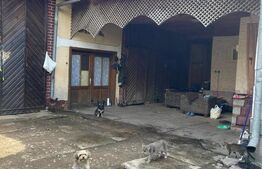 Doua case + anexa, teren 1655mp, Vama Buzaului (Acris) 