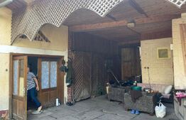 Doua case + anexa, teren 1655mp, Vama Buzaului (Acris) 