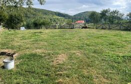 Doua case + anexa, teren 1655mp, Vama Buzaului (Acris) 