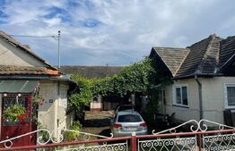 Doua case + anexa, teren 1655mp, Vama Buzaului (Acris) 