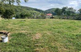 Doua case + anexa, teren 1655mp, Vama Buzaului (Acris) 