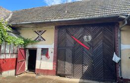 Doua case + anexa, teren 1655mp, Vama Buzaului (Acris) 