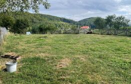 Doua case + anexa, teren 1655mp, Vama Buzaului (Acris) 