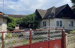 Doua case + anexa, teren 1655mp, Vama Buzaului (Acris) 