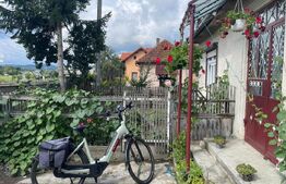 Doua case + anexa, teren 1655mp, Vama Buzaului (Acris) 