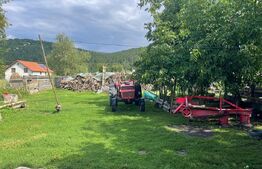 Doua case + anexa, teren 1655mp, Vama Buzaului (Acris) 