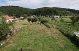 Doua case + anexa, teren 1655mp, Vama Buzaului (Acris) 