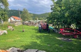 Doua case + anexa, teren 1655mp, Vama Buzaului (Acris) 