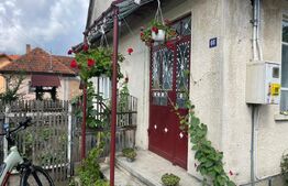 Doua case + anexa, teren 1655mp, Vama Buzaului (Acris) 