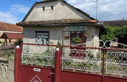 Doua case + anexa, teren 1655mp, Vama Buzaului (Acris) 