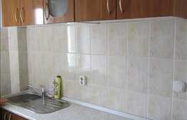 Apartament cu 1 camera de inchiriat, 20 mp, in cartierul Gruia