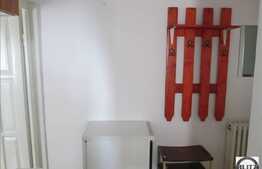 Apartament cu 1 camera de inchiriat, 20 mp, in cartierul Gruia