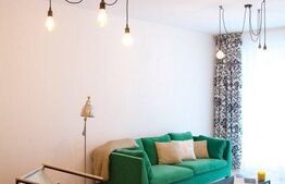 Apartament cu 2 camere, A.C., design retro industrial, Complex Platinia