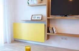 Apartament cu 2 camere, A.C., design retro industrial, Complex Platinia