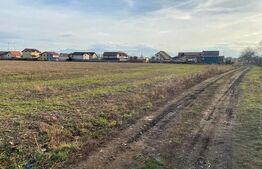 Teren extravilan, potential de construire Halchiu