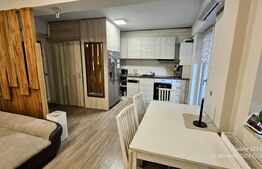 Apartament de 3 camere, 58 mp, bloc nou, terasa 54 mp, zona Borhanciului