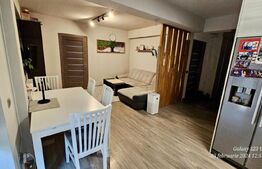 Apartament de 3 camere, 58 mp, bloc nou, terasa 54 mp, zona Borhanciului