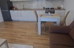 Casa 3 camere -  Stupini, 500 mp teren, 97 mp construiti, mobilata insorita