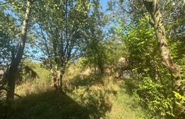 Casa individuala sau pentru vacanta, 136mp utili si 700mp teren in Campenesti