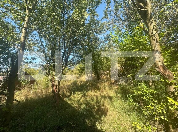 Casa de vânzare 3 camere Câmpeneşti - 157411CV | BLITZ Cluj-Napoca | Poza4