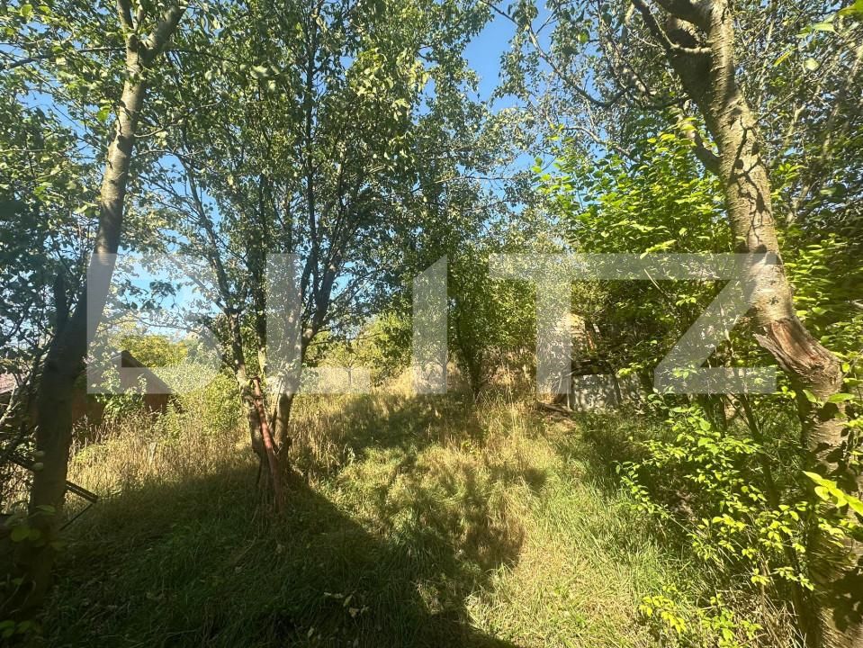 Casa de vânzare 3 camere Câmpeneşti - 157411CV | BLITZ Cluj-Napoca | Poza4