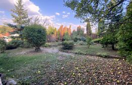 Casa finisata 220 mp utili, garaj 48 mp, 780 mp teren, zona Campului