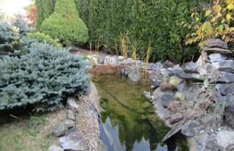 Casa finisata 220 mp utili, garaj 48 mp, 780 mp teren, zona Campului