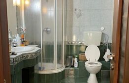 Casa finisata 220 mp utili, garaj 48 mp, 780 mp teren, zona Campului