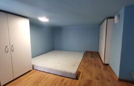 Garsoniera, 22 mp,  cu CHELTUIELI INCLUSE,  zona Centrala