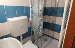 Garsoniera, 22 mp,  cu CHELTUIELI INCLUSE,  zona Centrala