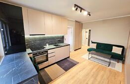 Apartament 2 camere mobilat lux, 40 mp utili, gradina 37 mp, zona Terra