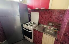 Garsoniera, 30 mp, zona Bulevardul Muncii