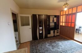 Garsoniera, 30 mp, zona Bulevardul Muncii