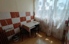 Garsoniera, 30 mp, zona Bulevardul Muncii