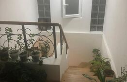 Casa 156mp, 1200mp teren, livada (Bod)