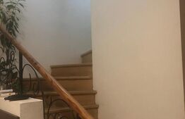 Casa 156mp, 1200mp teren, livada (Bod)