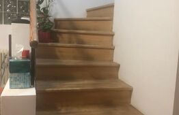 Casa 156mp, 1200mp teren, livada (Bod)