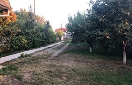 Casa 156mp, 1200mp teren, livada (Bod)