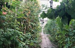 Casa 156mp, 1200mp teren, livada (Bod)