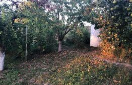 Casa 156mp, 1200mp teren, livada (Bod)