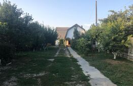 Casa 156mp, 1200mp teren, livada (Bod)