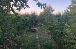 Casa 156mp, 1200mp teren, livada (Bod)