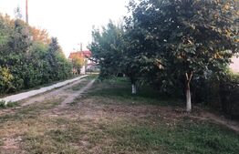 Casa 156mp, 1200mp teren, livada (Bod)