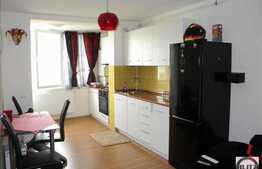 Apartament modern cu 2 camere, 40 mp, balcon inchis, zona Florilor! A.C!