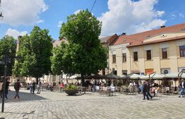 Alimenatie publica in Piata Muzeului 