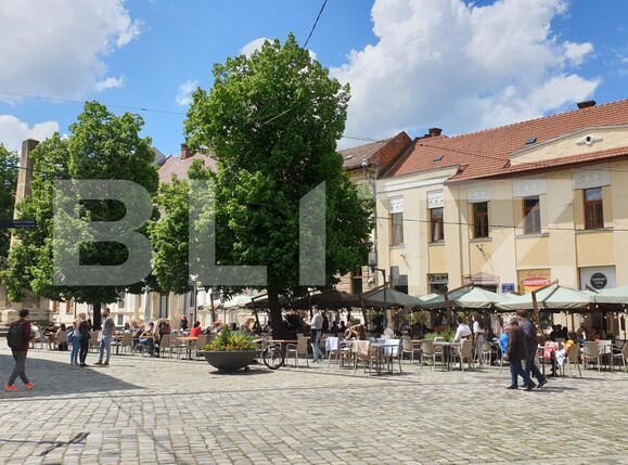 Spațiu comercial de închiriat Central - 157555SIC | BLITZ Cluj-Napoca | Poza1