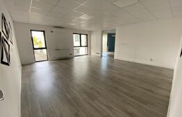 Spatiu showroom 360 mp, vad comercial, cladire mixta, Calea Turzii