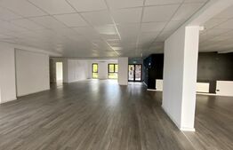 Spatiu showroom 360 mp, vad comercial, cladire mixta, Calea Turzii