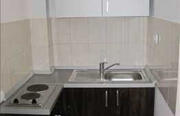 Apartament de vanzare cu 1 camera, 20 mp, decomandat, zona strazii Fabricii